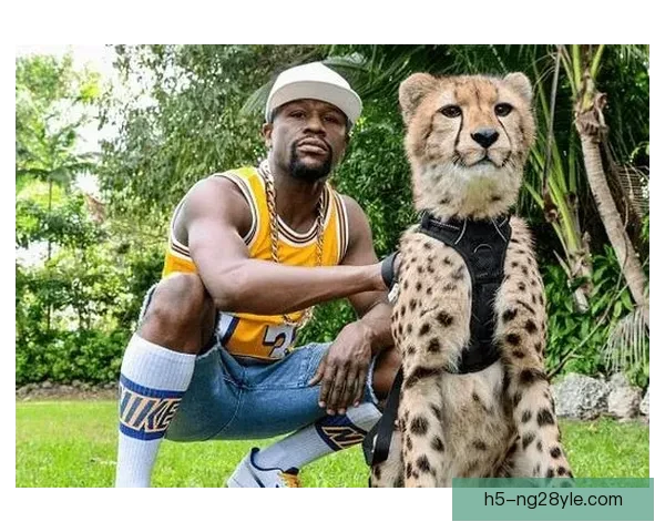 全球泰森梅威瑟巅峰拳王大战来袭